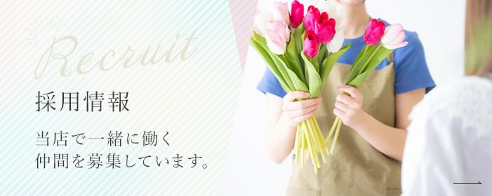 採用情報 当店で一緒に働く仲間を募集しています。